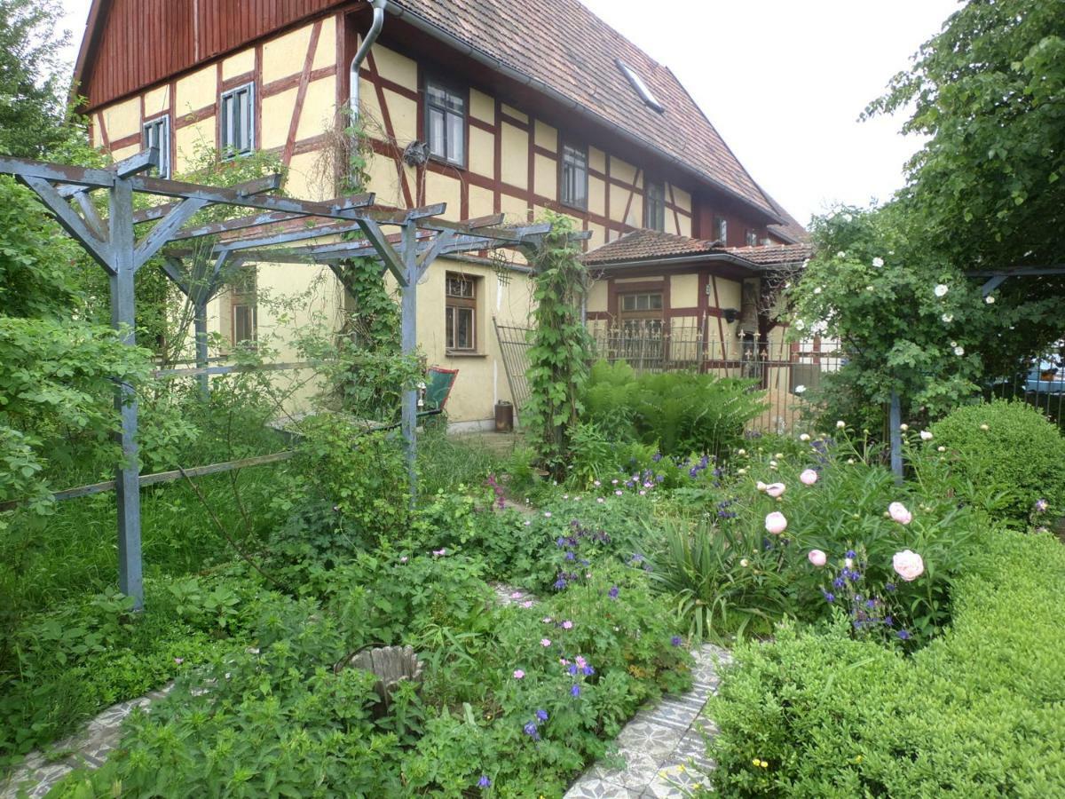 Appel-Ranch Apartman Bockelwitz Kültér fotó